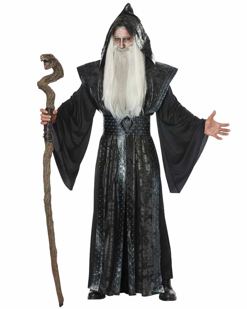 Dark Wizard Long Grey Wig and Beard