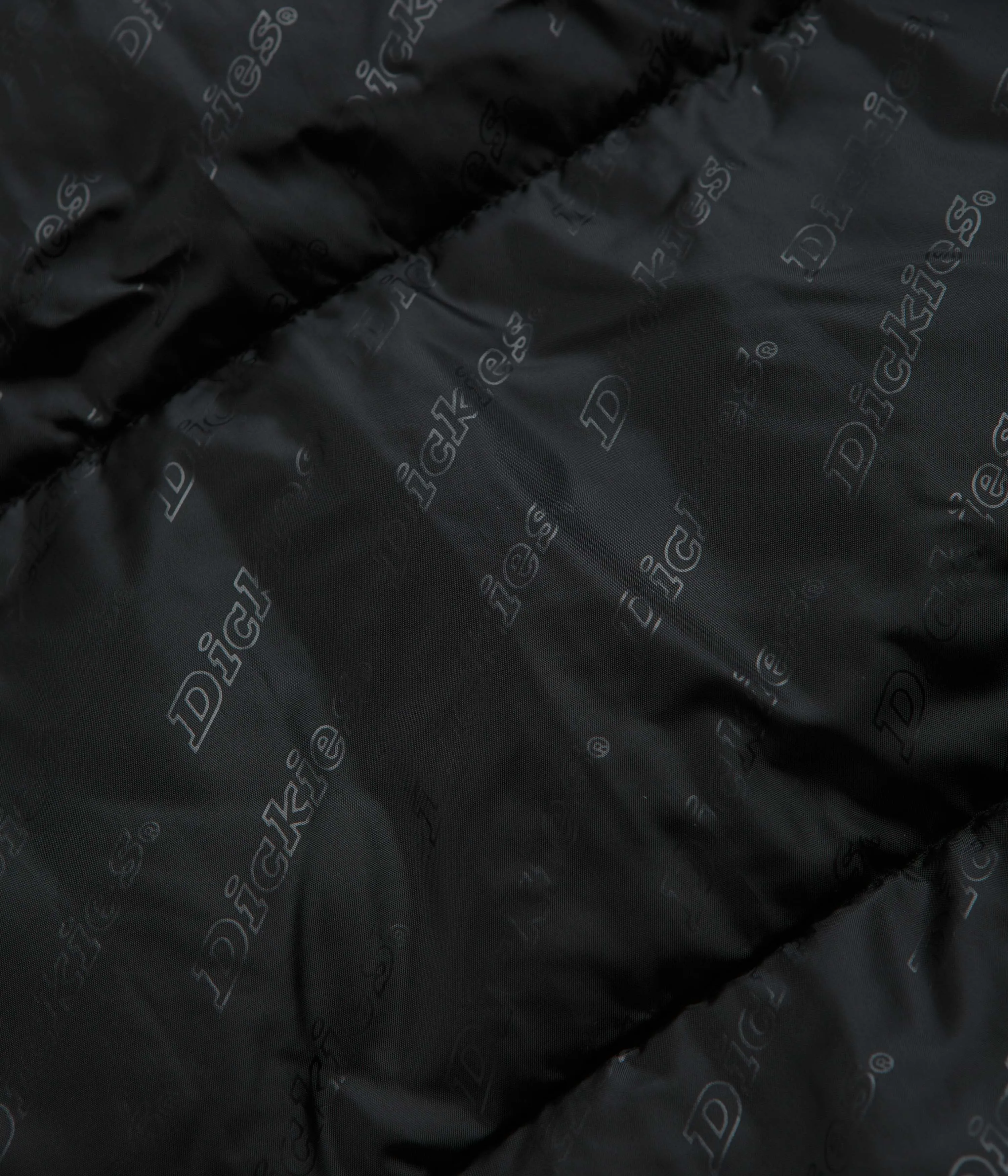 Dickies Waldenburg Jacket - Black