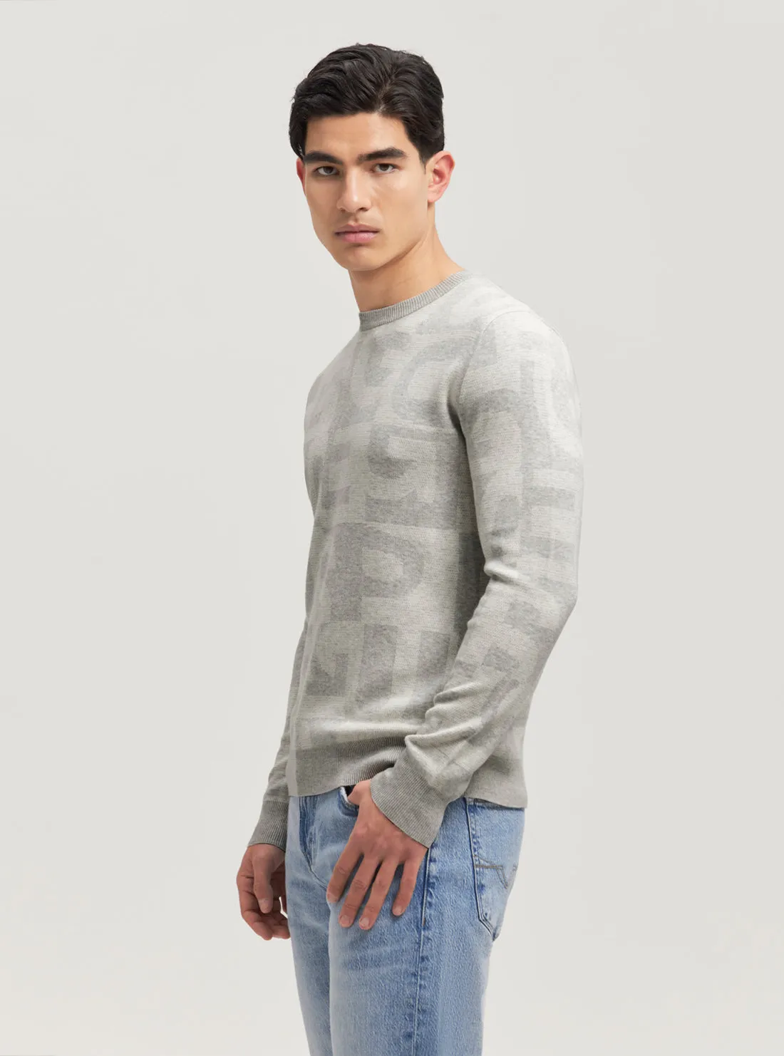 Eco Grey Denny Logo Knit Jumper Guess