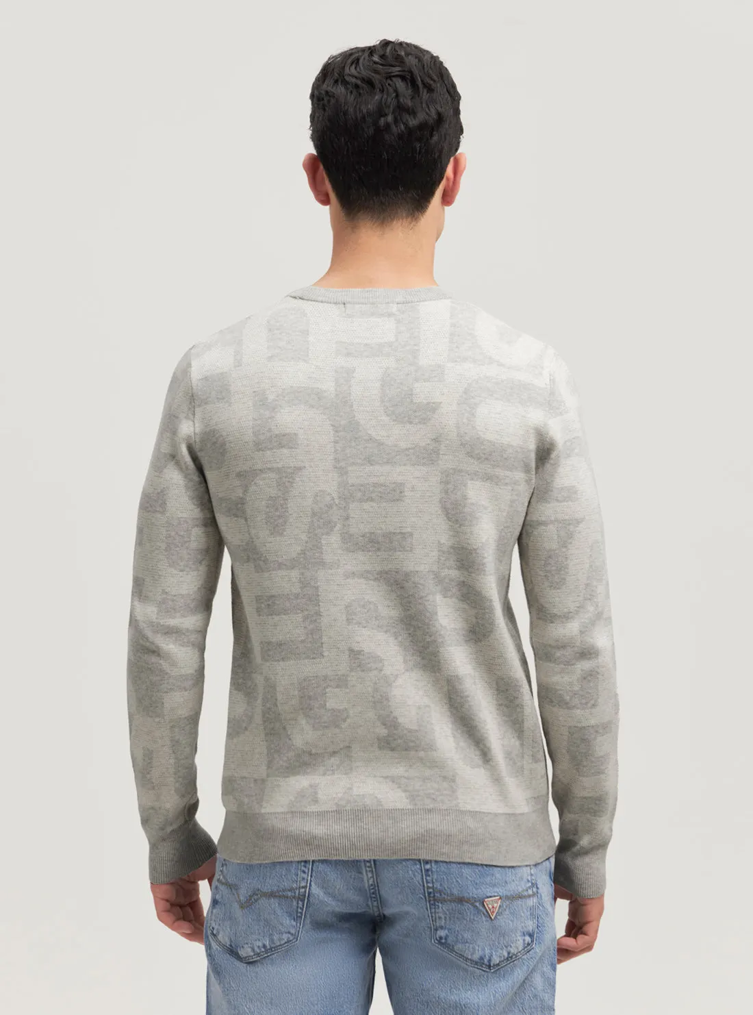 Eco Grey Denny Logo Knit Jumper Guess