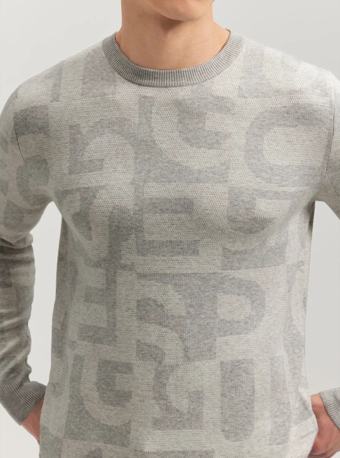 Eco Grey Denny Logo Knit Jumper Guess