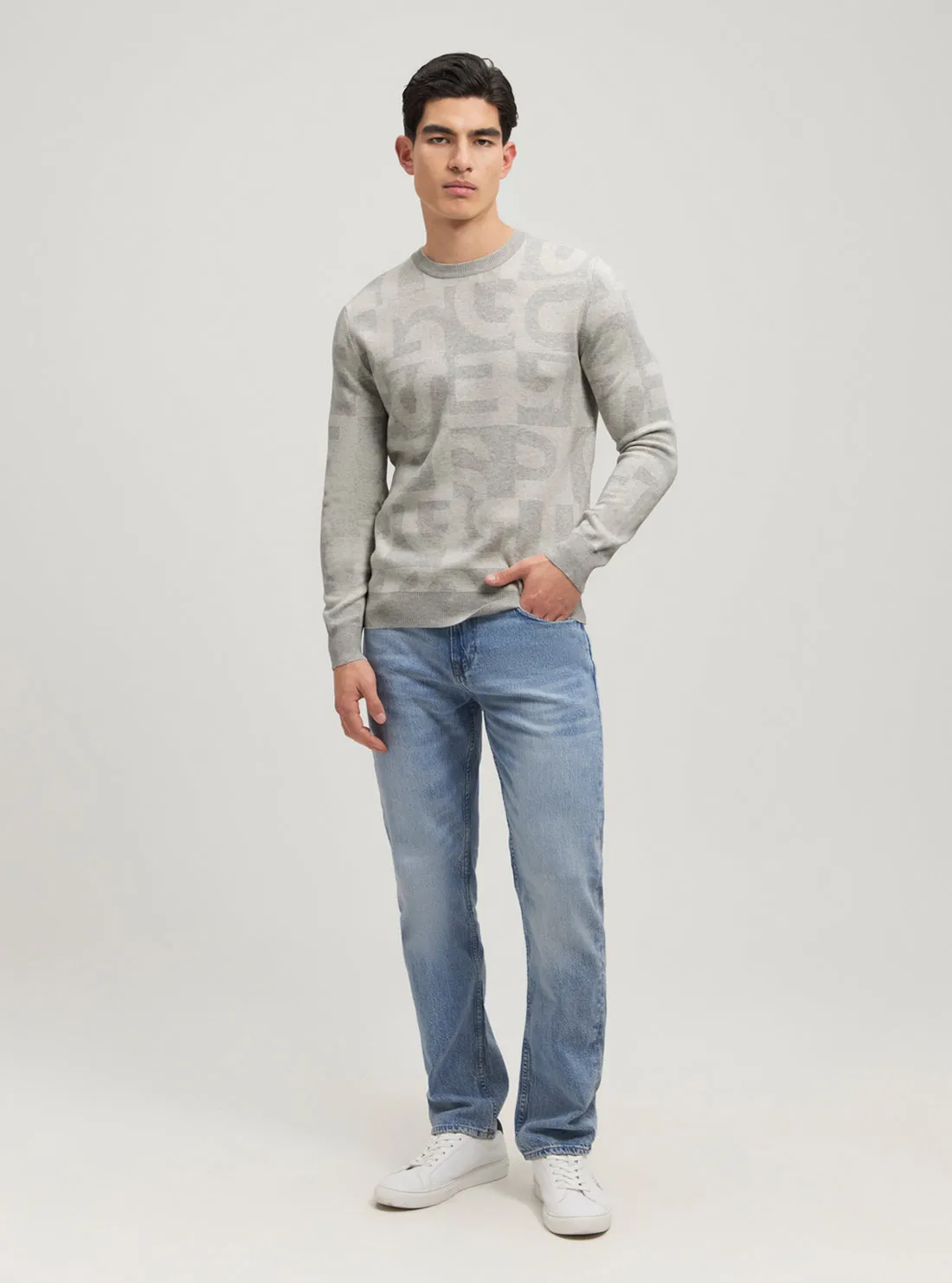 Eco Grey Denny Logo Knit Jumper Guess