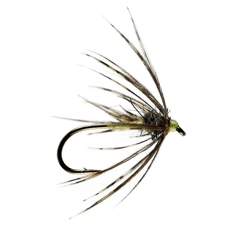 Partridge and Yellow Spider